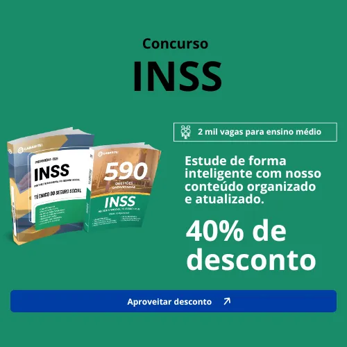 INSS novo