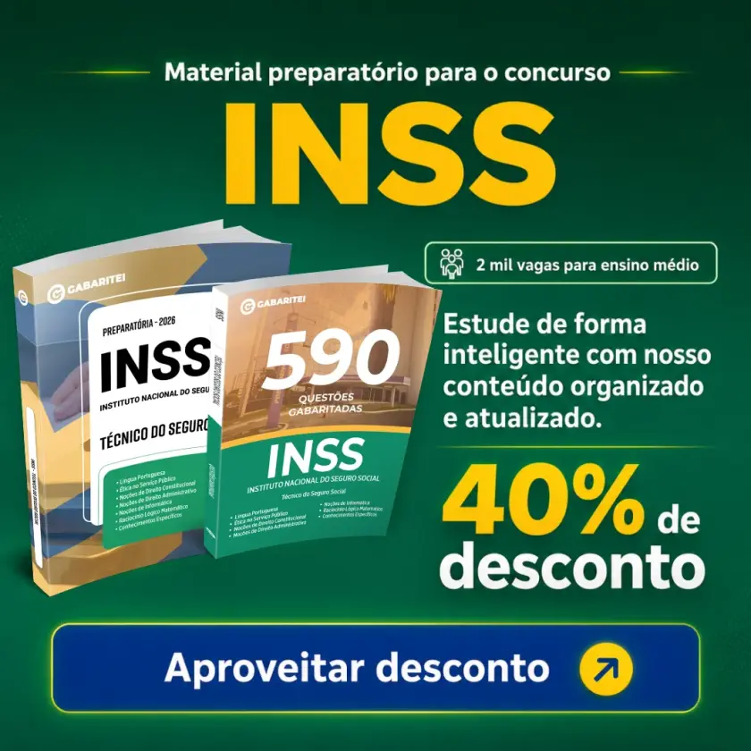 INSS novo