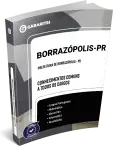 Capa: Prefeitura de Borrazópolis - PR - Conhecimentos Comuns a todos os Cargos